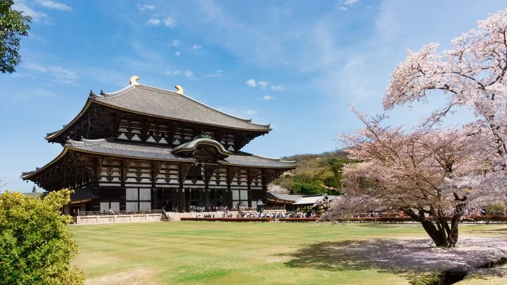 Nara Gallery 1